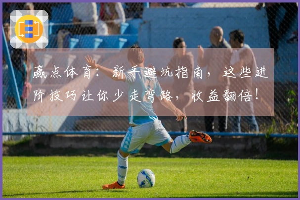 赢点体育：新手避坑指南，这些进阶技巧让你少走弯路，收益翻倍！